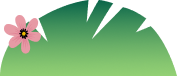 plant visual